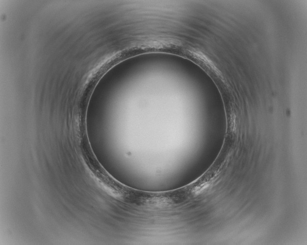 X0000070360444200606161256