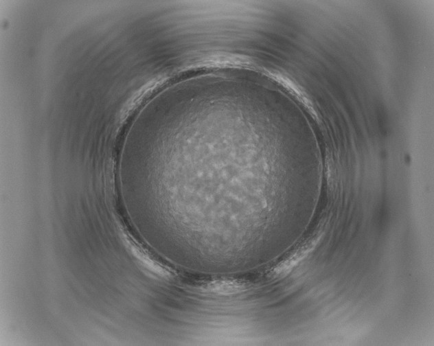 X0000070360445200606161256