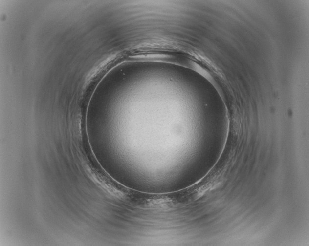 X0000070360446200606161256