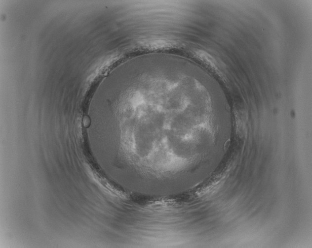 X0000070360447200606161256