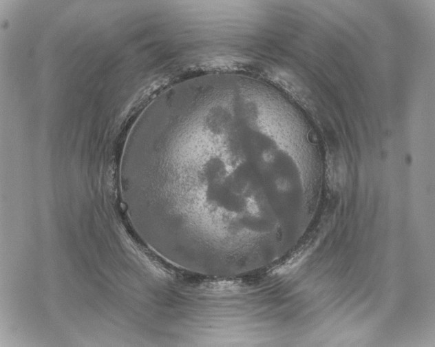 X0000070360449200606161256