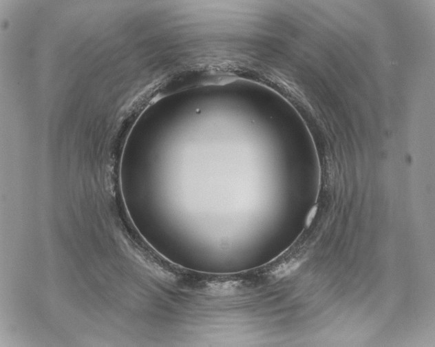 X0000070360450200606161256