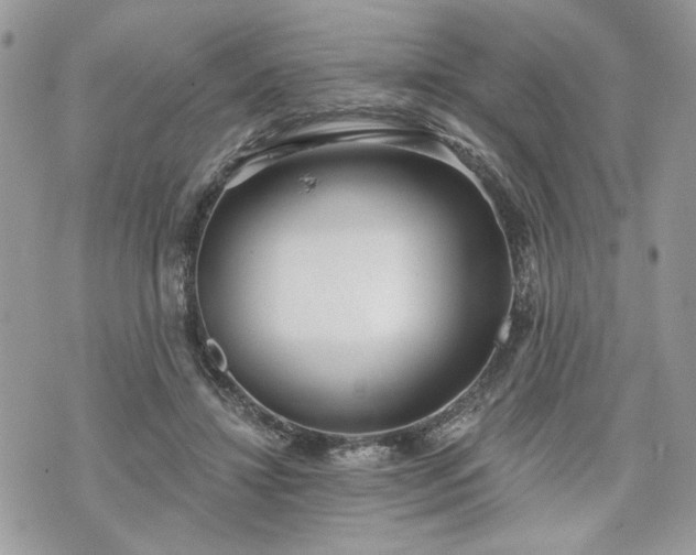 X0000070360452200606161256