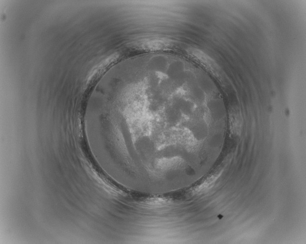 X0000070360453200606161256