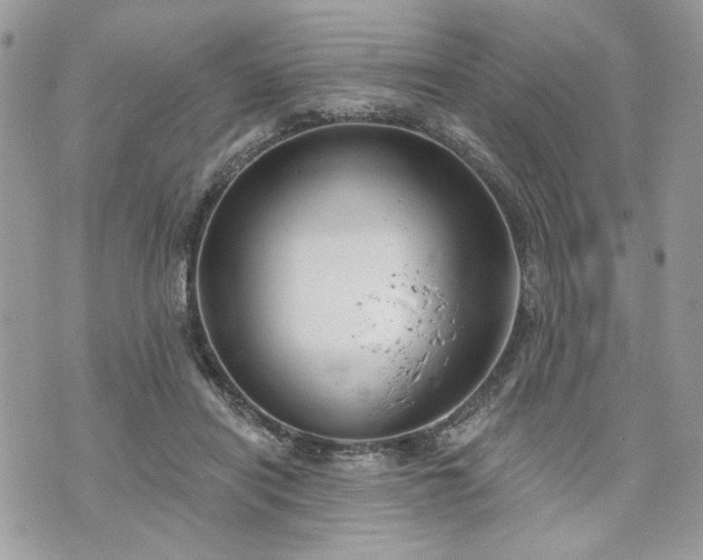 X0000070360454200606161256