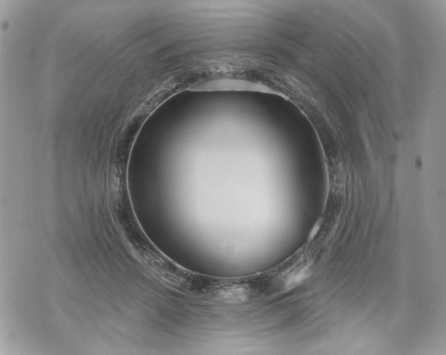 X0000070360456200606161256