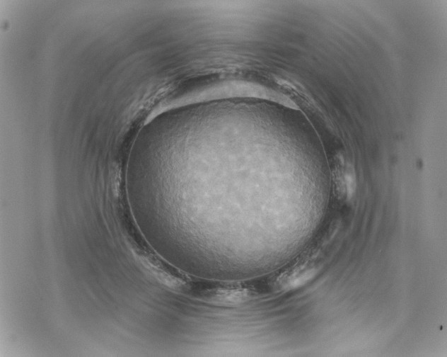 X0000070360458200606161256