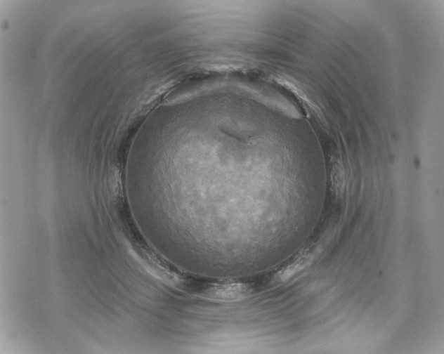 X0000070360459200606161256