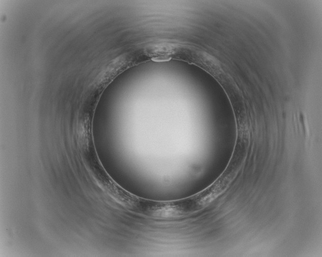 X0000070360460200606161256