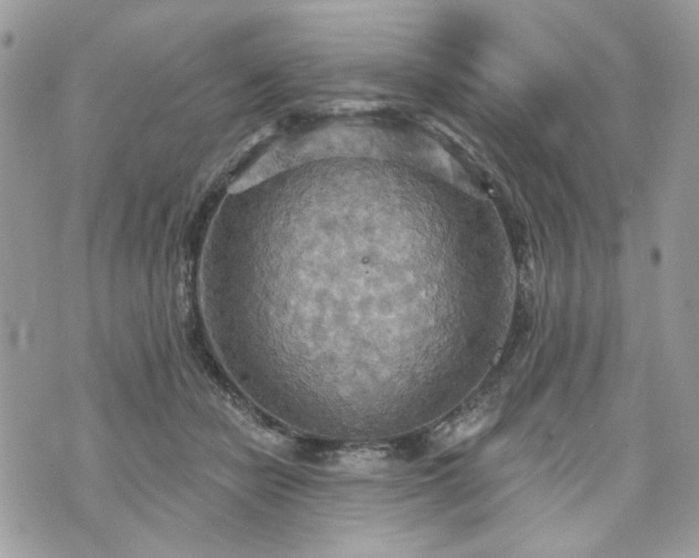 X0000070360462200606161256