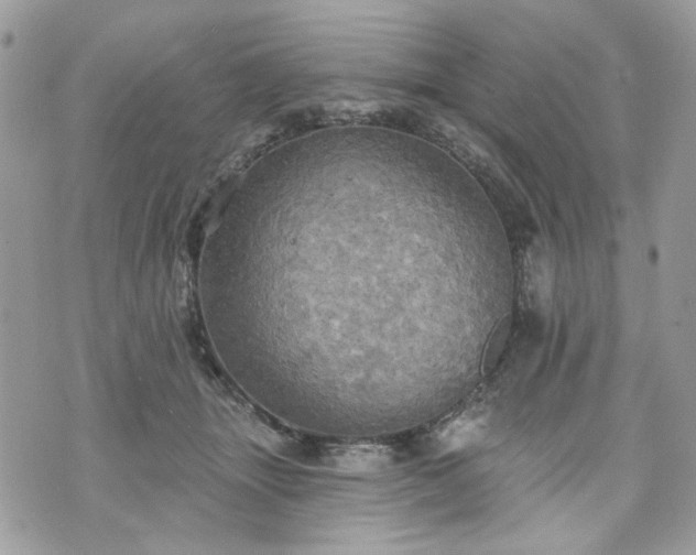 X0000070360463200606161256