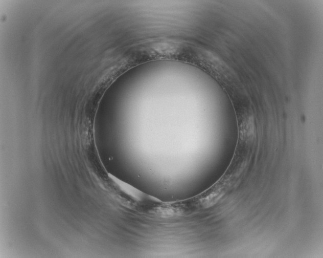 X0000070360464200606161256