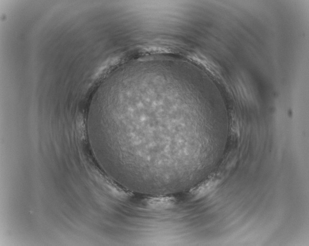 X0000070360465200606161256