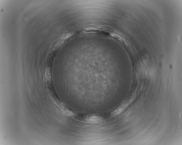 X0000070360467200606161256