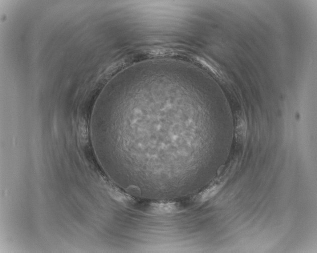 X0000070360469200606161256