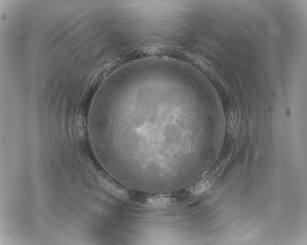 X0000070360470200606161256