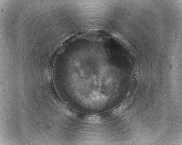 X0000070360471200606161256