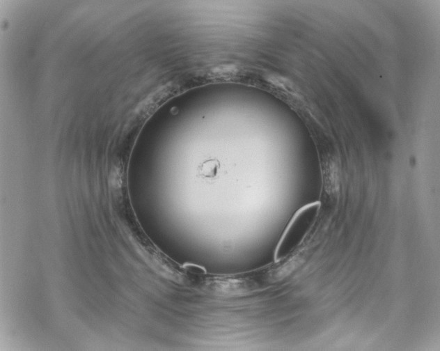 X0000070360472200606161256