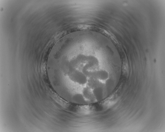 X0000070360473200606161256