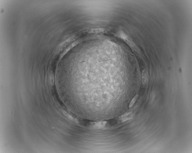 X0000070360474200606161256