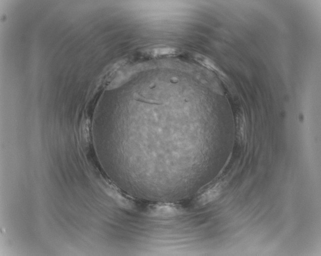 X0000070360475200606161256