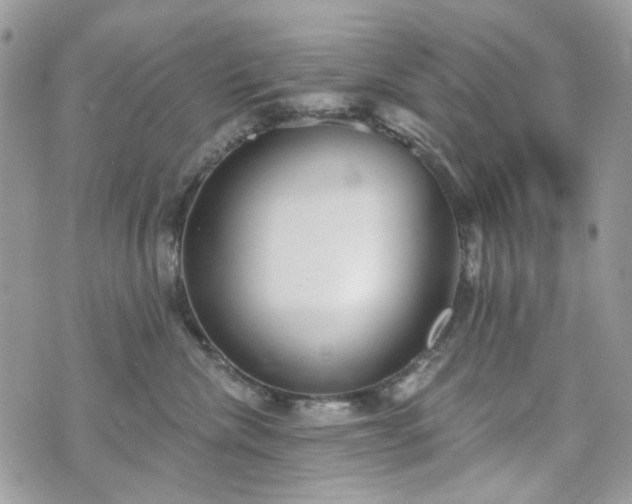 X0000070360476200606161256