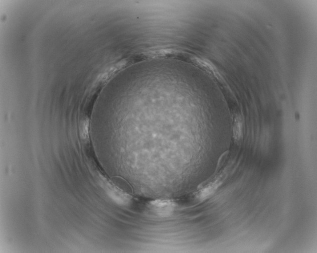 X0000070360477200606161256