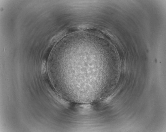 X0000070360478200606161256