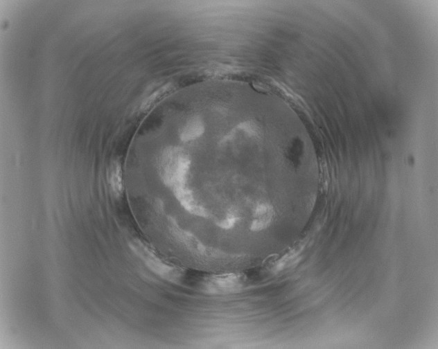 X0000070360479200606161256