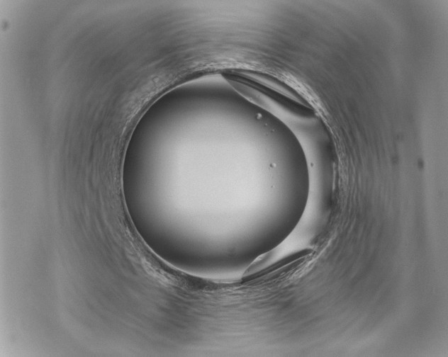 X0000070360481200606161256