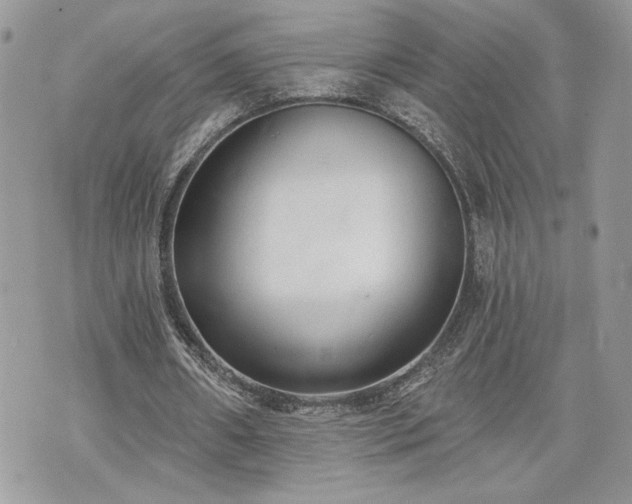 X0000070360482200606161256