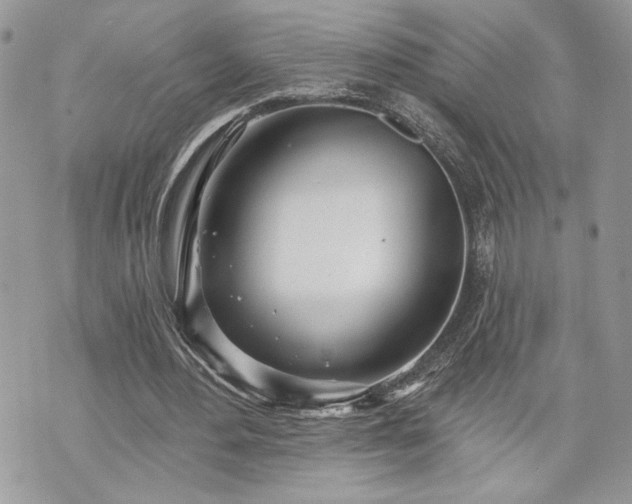 X0000070360484200606161255