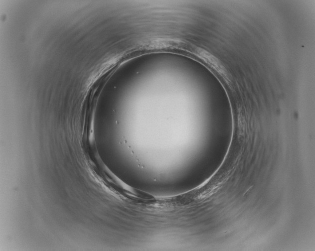 X0000070360485200606161255