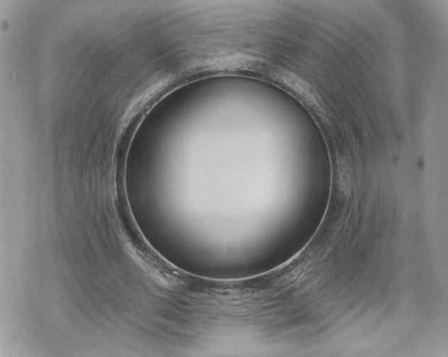 X0000070360486200606161255