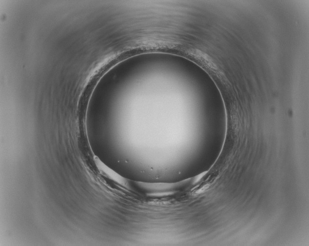 X0000070360488200606161255