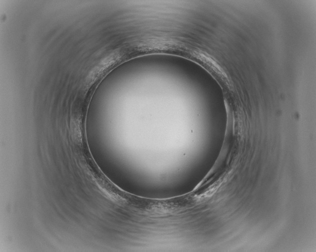 X0000070360489200606161255