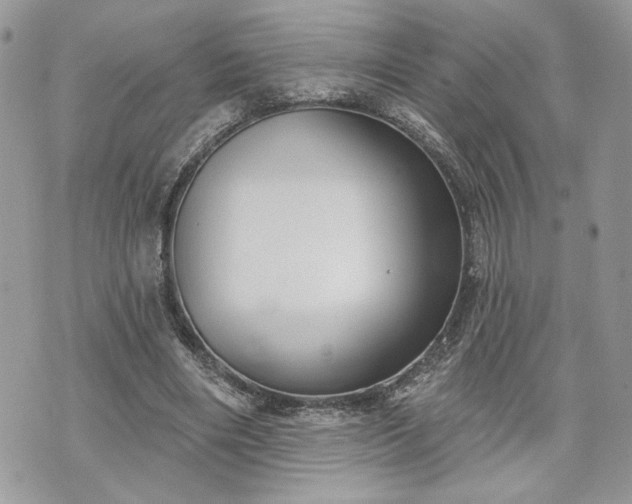 X0000070360490200606161255