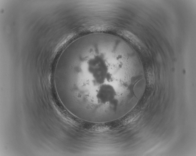 X0000070360491200606161255