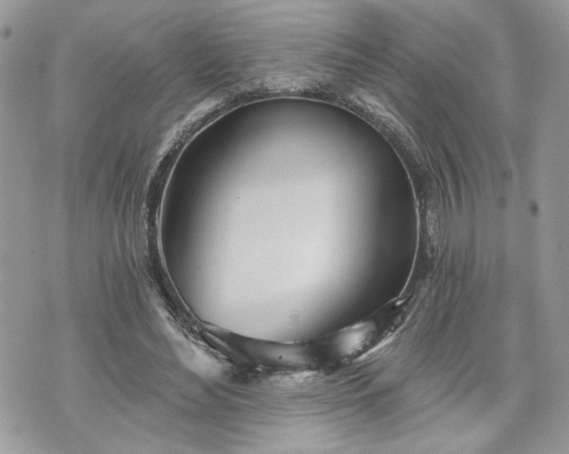 X0000070360492200606161255