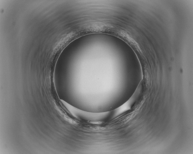 X0000070360493200606161255