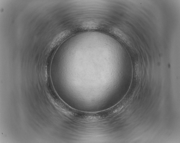 X0000070360494200606161255