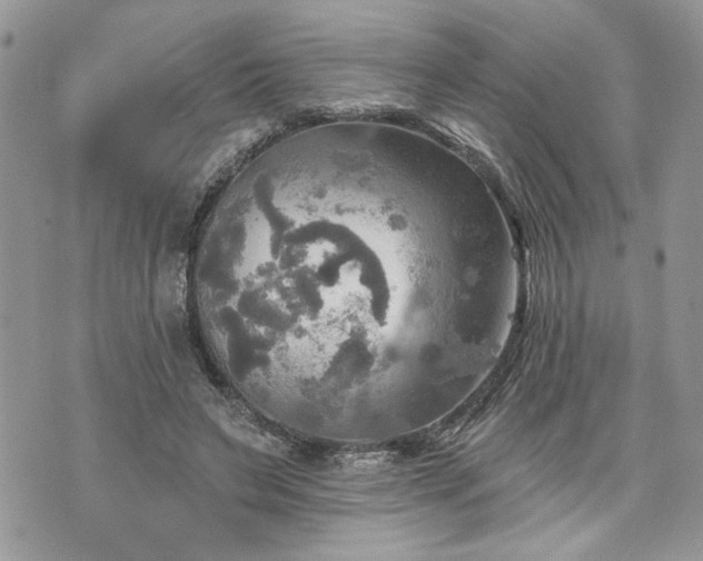 X0000070360495200606161255