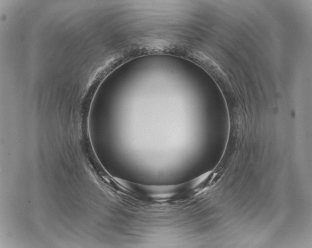 X0000070360496200606161255