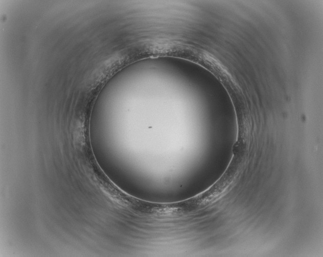 X0000070360497200606161255