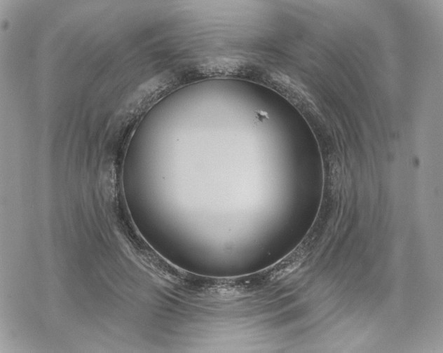 X0000070360498200606161255