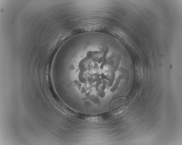 X0000070360499200606161255