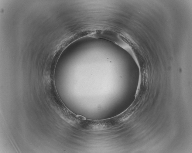 X0000070360500200606161255