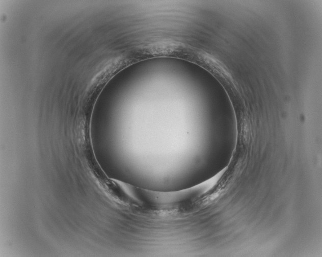 X0000070360501200606161255