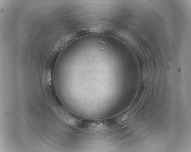 X0000070360502200606161255