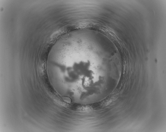 X0000070360503200606161255